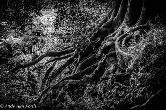 Barden & the Strid · photograph 001
