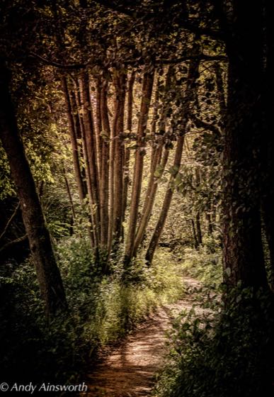 Barden & the Strid · photograph 002