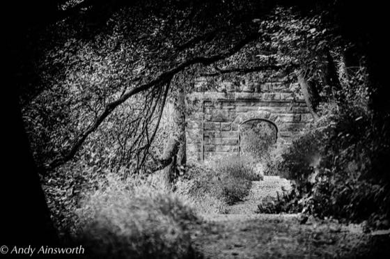 Barden & the Strid · photograph 004