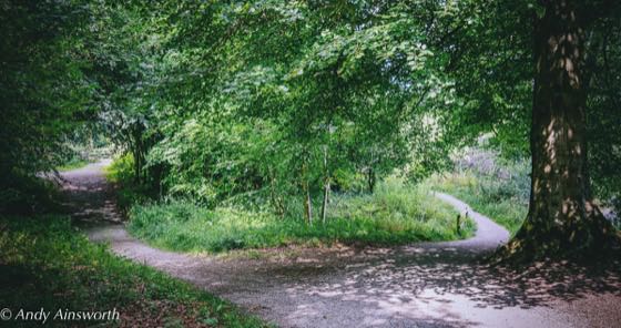 Barden & the Strid · photograph 008