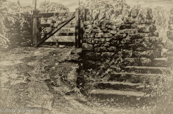 Barden & the Strid · photograph 009