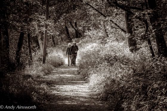 Barden & the Strid · photograph 010