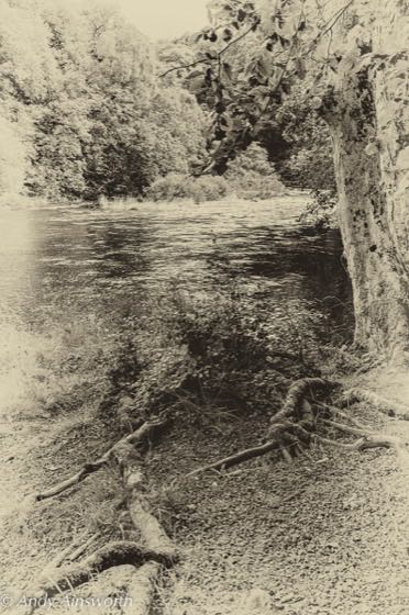 Barden & the Strid · photograph 014