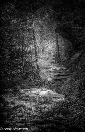 Barden & the Strid · photograph 015