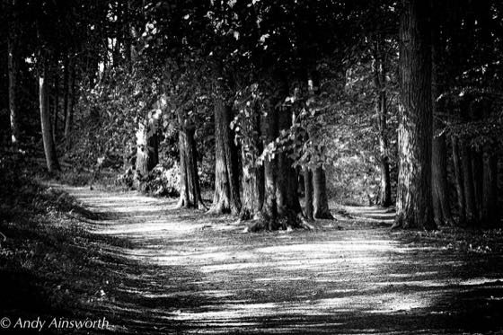 Barden & the Strid · photograph 019