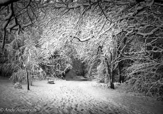 Harrogate · photograph 016