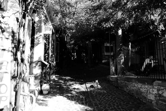 Molyvos, Greece · photograph 029