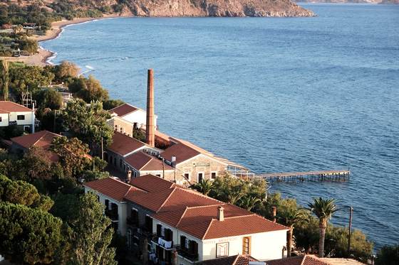 Molyvos, Greece · photograph 031