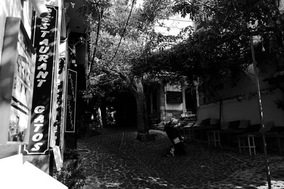Molyvos, Greece · photograph 033