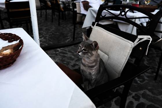 Molyvos, Greece · photograph 038