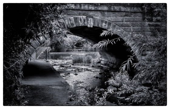 Ripon · photograph 004