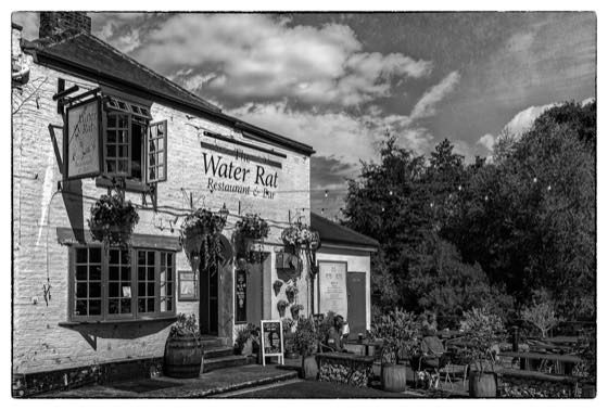 Ripon · photograph 012