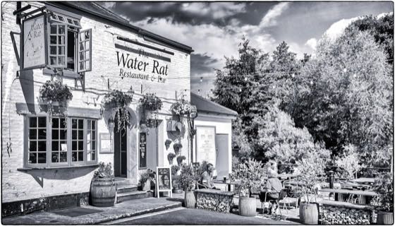 Ripon · photograph 013