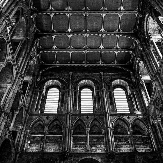 Ripon · photograph 035
