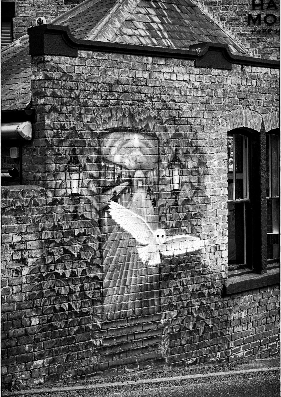 Trompe-l'oeil window mural on an ivy-clad wall — Knaresborough's painted windows