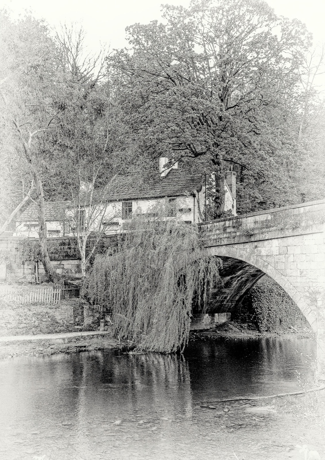 Willow trailing over a stone bridge on the River Nidd — Knaresborough riverside