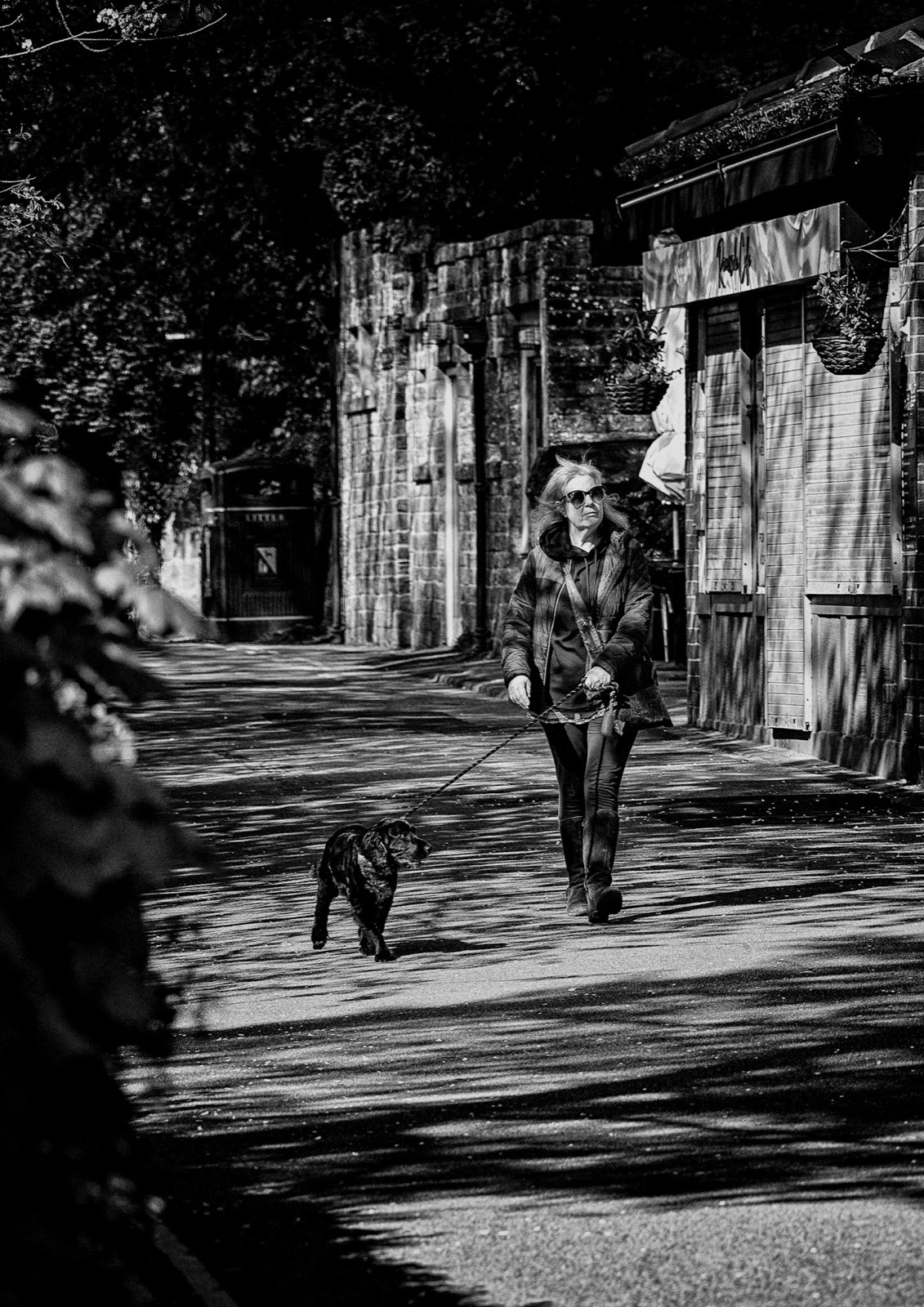 Walking the dog down a sun-dappled riverside lane — Knaresborough