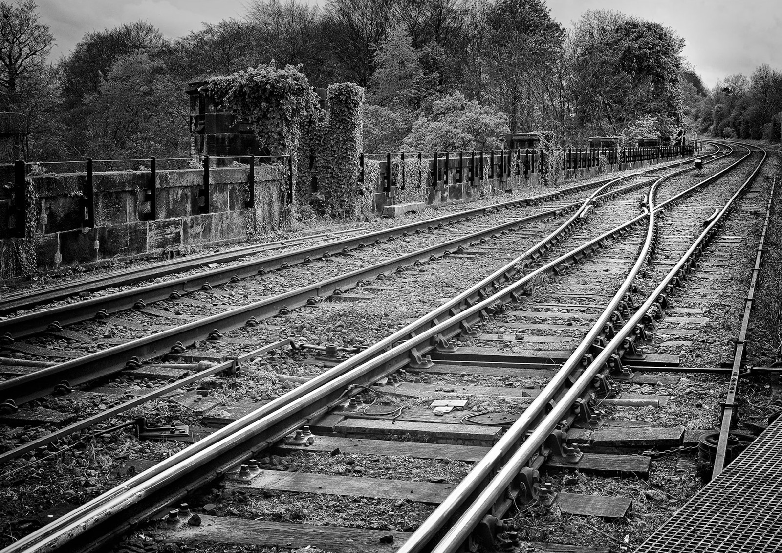 Railway tracks curving through the cutting toward Knaresborough station